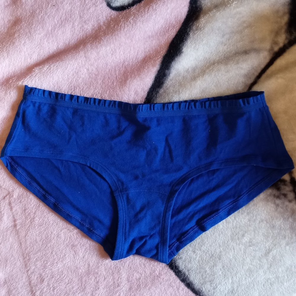 NEW GILLY HICKS Down Undies (Boy Short Style)